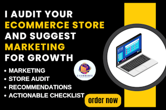 audit your ecommerce and suggest marketing for growth