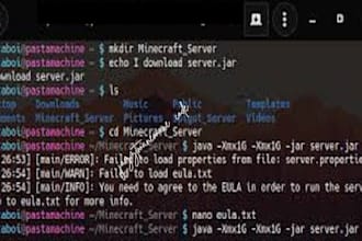 create a  minecraft server, fivem server, minecraft website