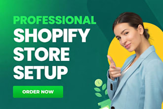 set up shopify store