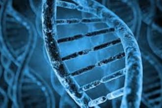 help you in biology, pharmacology, anatomy, physiology and chemistry