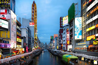 buy and ship item from japan, USA,UK, spain, china,germany, france,brazil to you