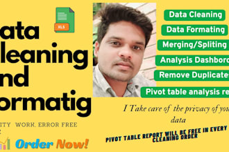 clean, merge, split, format, and pivot report excel data