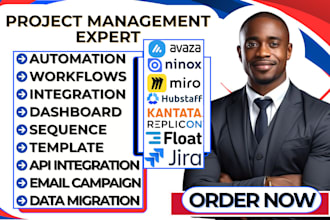 setup ninox jira miro float hubstaff kantata aha replicon data migration avaza