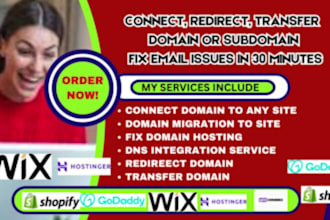 connect, fix, transfer, redirect domain to wordpress, wix, shopify