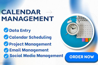 long term virtual assistant executive assistant email calendar management
