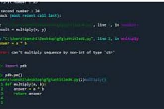 debug your python code professionally