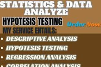 do statistical data analysis spss, excel and data entry