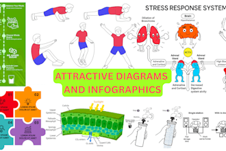 create scientific illustration, graphical abstract, workout, yoga, infographics