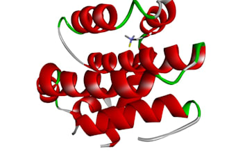 perform molecular docking and computational biology analysis