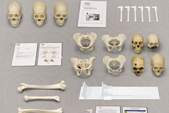 help in anthropology, sociology, archaeology, history, philosophy and religion