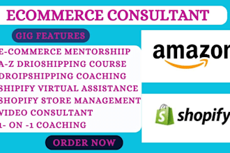 do ecommerce mentor dropshipping coach shopify amazon dropshipping consultant am