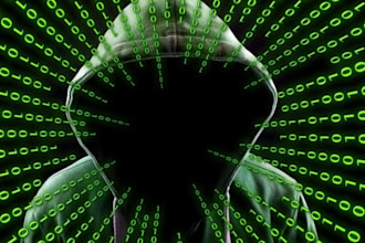 perform a professional penetration test on your website