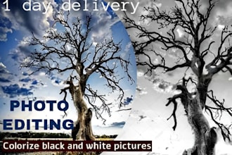 colorize and restore black and white images