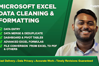 clean your data, create pivot tables, automate tasks and convert excel to PDF