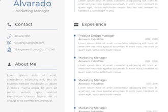 translate and adapt your CV for the german job market