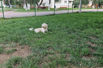 remove persons or background objects from pictures