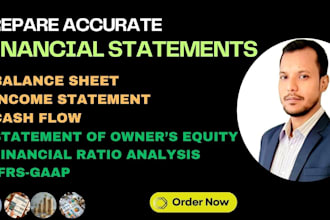 prepare accurate profit and loss , balance sheet, cash flow,financial statements