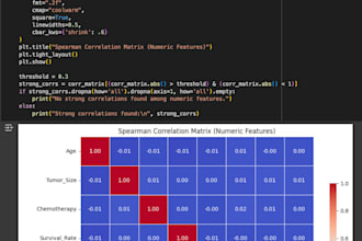 write eda projects and optimize python code