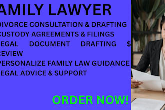 provide divorce and custody, consulting or documents as a family lawyer