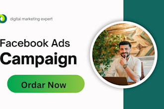 setup facebook ads campaign for massive sales