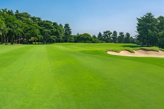 view golf course, putting green, green turf, scenery, mini golf, ceiling layout