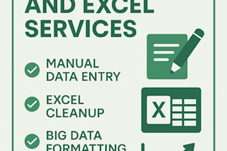 handle big data entry, excel spreadsheets, and data cleaning