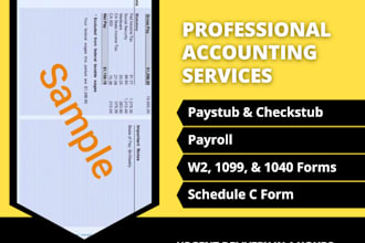create professional paystubs, w2, 1099, and 1040 tax forms