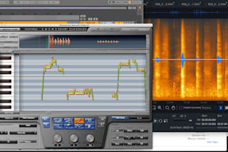 do professional vocal tuning