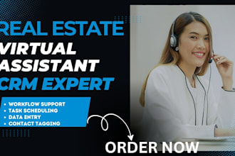 setup real estate virtual assistant crm kvcore liondesk chime real geeks crm
