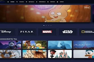 develop iptv app with middleware setup, admin panel and subscription managements
