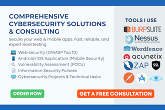 perform expert penetration testing with a professional report