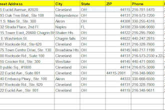 do data entry work using google spreadsheet and word