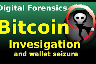 investigate cryptocurrency wallets and transactions