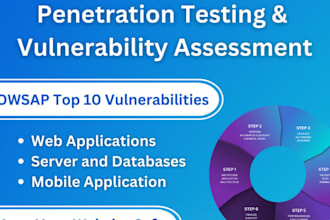 conduct web app vulnerability assessment and penetration testing
