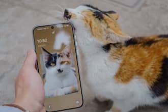 create ai pet care app, pet tracker ai, pet monitor app