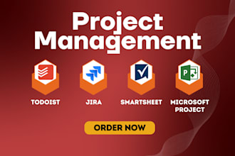 do workfront todoist microsoft project management jira smarthsheet housecall pro