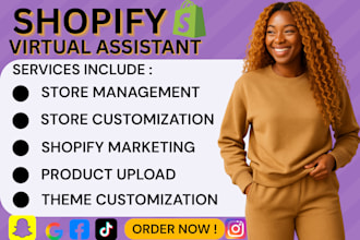 be your shopify virtual assistant dropshipping store shopify marketing expert