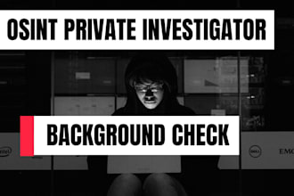 do professional osint detective private investigation background check analysis