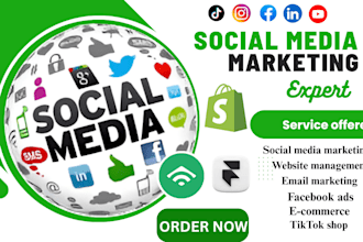 manage your social media email marketing website and tik tok shop