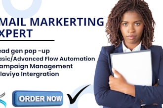 setup and manage mailchimp email automation, flows email marketing