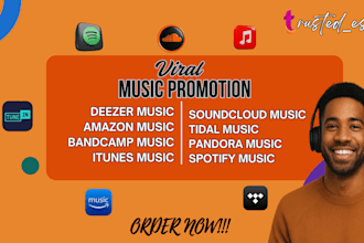 do viral soundcloud deezer tidal bandcamp spotify pandora apple music promotion