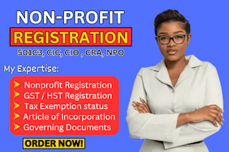 do US non profit registration, UK, canada charity, npo, 501c3 tax exemption
