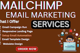 do custom mailchimp, klaviyo email marketing template design