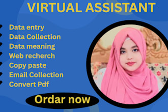 do fastest web recherch,data collection,copy paste work for you
