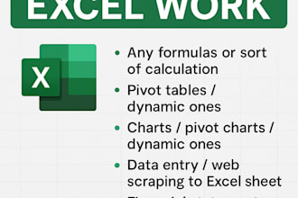 do excel spreadsheet, excel data entry, excel functions