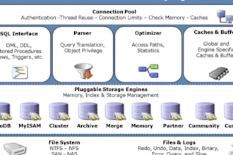 do oracle database mysql database management