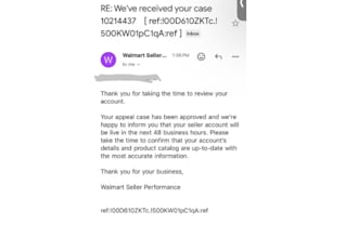 approve and manage walmart account with ebay setup support
