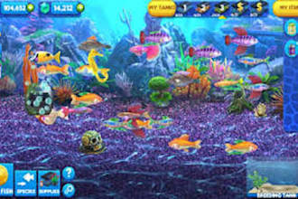 develop fish game, slots, poker, keno, sicbo, and blackjack