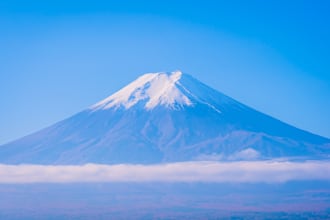 help you with your business in japan
