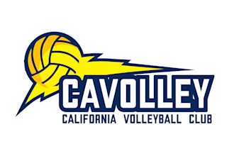 custom volleyball logo team, club, tournament and mascot design
